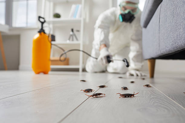 Commercial Kitchen Cockroach Control in Douglass